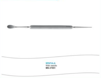 Spatula With Needle