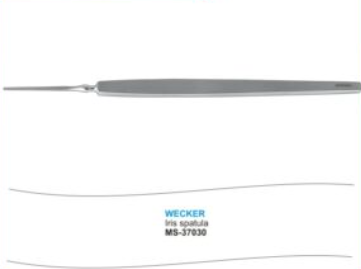 Wecker Iris Spatula